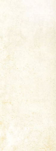 Mettalic Metallic 45x120