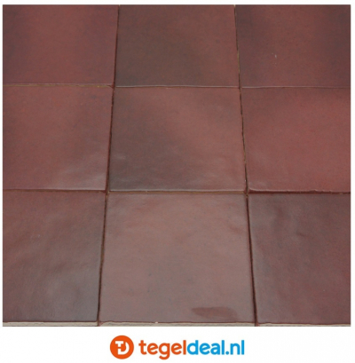 Equipe Magma Magma Burgundy