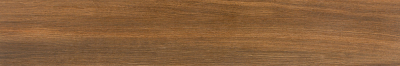 Pamesa Rainier 20x120 cm padlólap