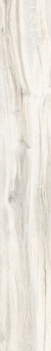 Rondine Daring