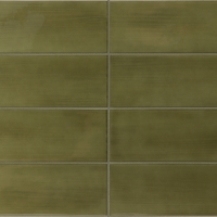 31195_island_lichen_65x20-scaled Equipe Island
