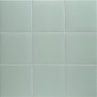 ALOE-TECHNICAL-20X20-MAINZU Mainzu Technical Soft