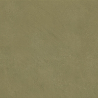 129356_Chromatica_Muschio_100x40 Naxos Chromatica