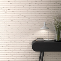 A920_Chande_Negro Vives Ritmo