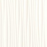 Genesis-Wind-White Love Genesis