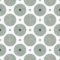 p4T73 Vives Octogono