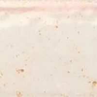 Hope-Rose-6x25-1 Ribesalbes Hope