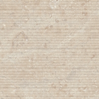 0318720020534 Tau Cambria