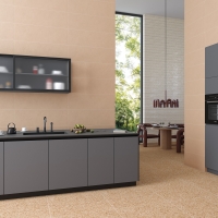 A938_Ritmo_Rojizo_Niza_Rojizo_Calipso Vives Ritmo