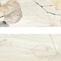 Foliage  fi 10 20x80 cm  8x32   Fi Foreste D'Italia