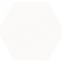 img-47082ca71527c610d0cbb30e85f9e320  Oasis