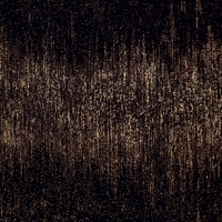 DS-Stardust-black-898x328 Tubadzin-Arte Stardust
