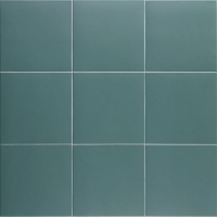 TEAL-TECHNICAL-20X20-MAINZU Mainzu Technical Soft