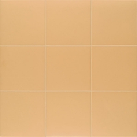 TANGERINE-TECHNICAL-20X20-MAINZU Mainzu Technical Soft