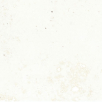 Tokyo-Calcite-white_6X25_1 Ribesalbes Tokyo