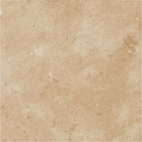  Terra Terra