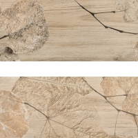 Foliage  fi 1 20x80 cm  8x32  Delconca Fi Foreste D'Italia