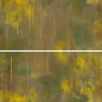 131294_Chromatica_Composizione_Decoro_Mimosa_100x80-1 Naxos Chromatica