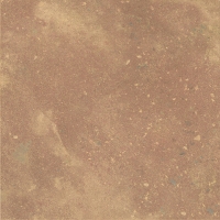  Terra Terra