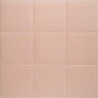 MAKEUP-TECHNICAL-20X20-MAINZU Mainzu Technical Soft