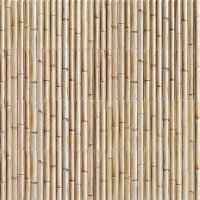  Mainzú Bamboo