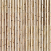  Mainzu Bamboo