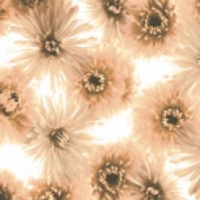 Blom Brennero fürdőszoba csempe Blooming