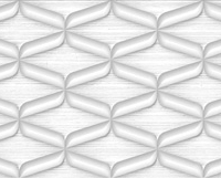 Dorine Blanco Brillo 33,3X100  Black & White