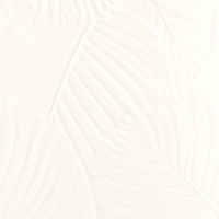 Genesis-Palm-White Love Genesis