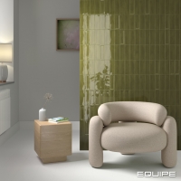 ISLAND-LICHEN-FRAME-LICHEN-2-65X20CM-1024x1024 Equipe Island