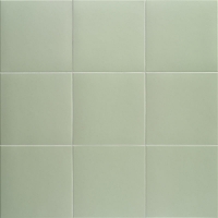 BASIL-TECHNICAL-20X20-MAINZU Mainzu Technical Soft