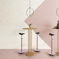 A813_Paola_Ariel_Berta_rosa_1900_rosa Vives Berta